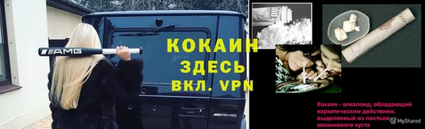 шишки Гусь-Хрустальный