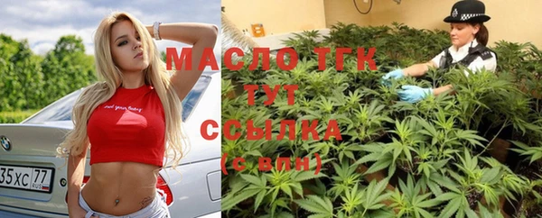 соль ск Тайга